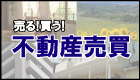 �s���Y�������