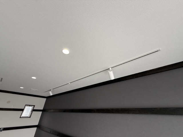 照明