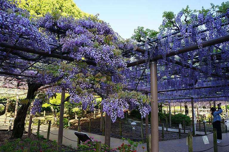 芝 公園 住み やすしの