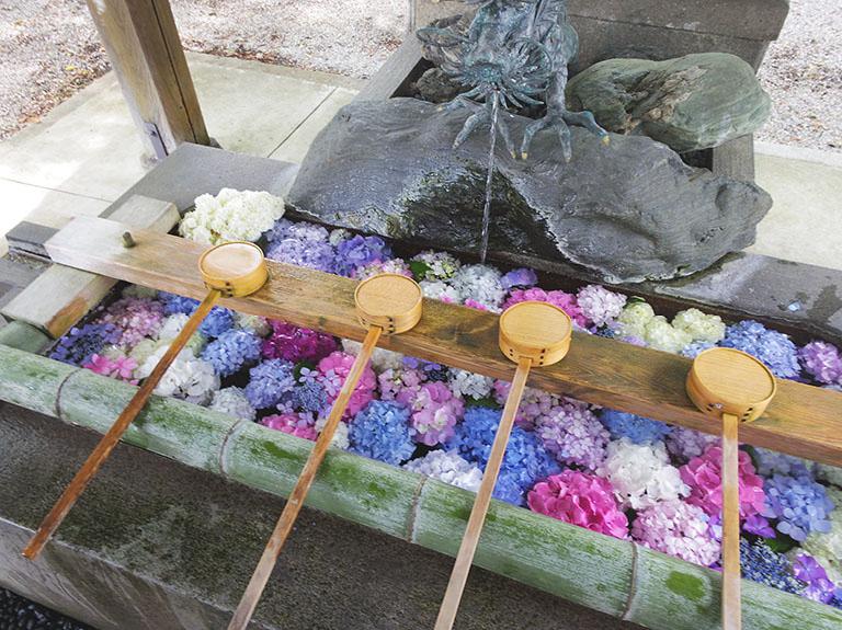 愛知県一宮市の 御裳神社 インスタで人気 紫陽花が浮かぶフォトジェニックな手水舎 一宮市の住みやすさを紹介 住む街なび