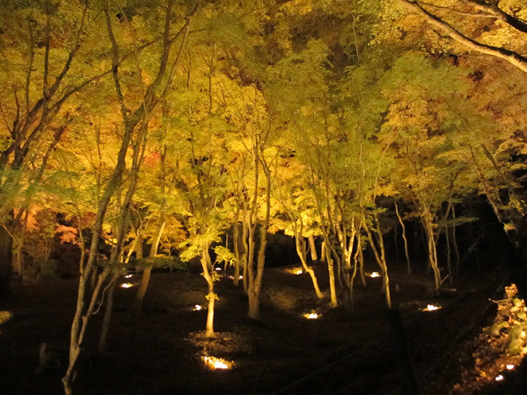 平成３０年１１月３０日までは毎日ライトアップ 愛知県の人気紅葉スポット 香嵐渓 愛知県豊田市の住みやすさを紹介 住む街なび