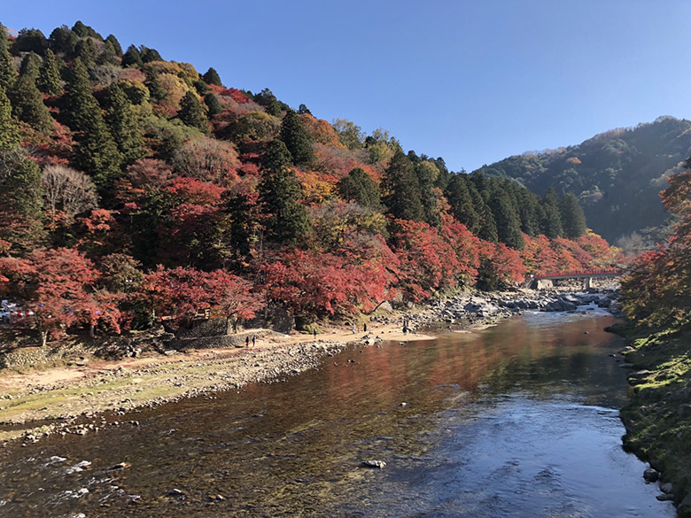 平成３０年１１月３０日までは毎日ライトアップ 愛知県の人気紅葉スポット 香嵐渓 愛知県豊田市の住みやすさを紹介 住む街なび