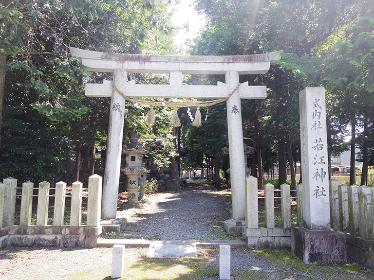 岐阜市にもあった 若江神社 の手水舎の紫陽花 岐阜市の住みやすさを紹介 住む街なび