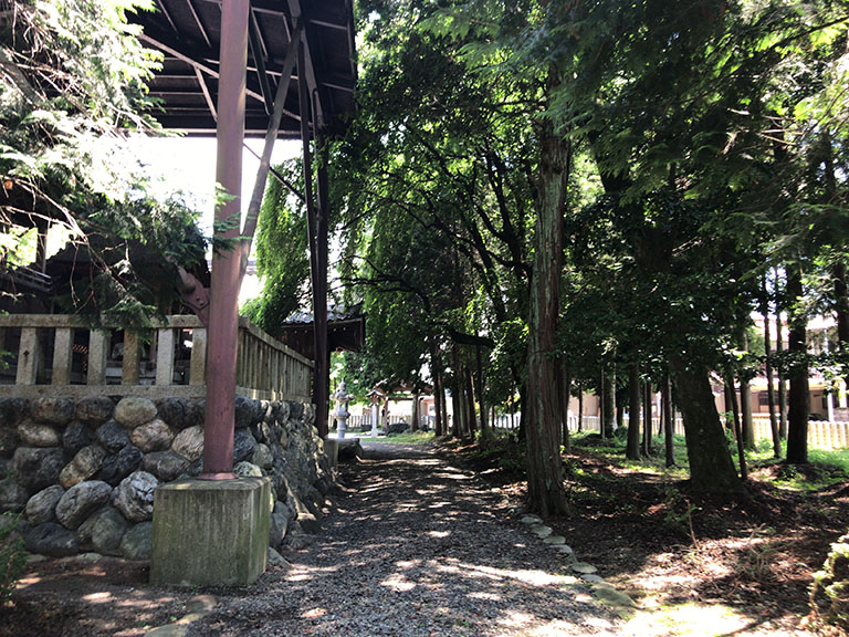 岐阜市にもあった 若江神社 の手水舎の紫陽花 岐阜市の住みやすさを紹介 住む街なび