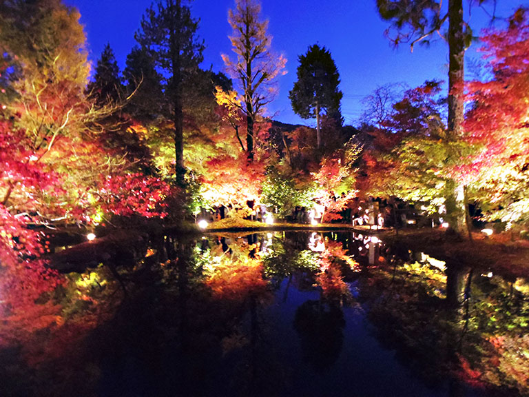 圧巻の逆さもみじ 岐阜県土岐市の 曽木公園 も紅葉ライトアップが見頃 土岐市の住みやすさを紹介 住む街なび