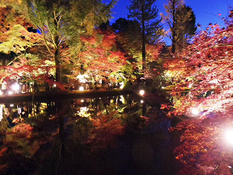 圧巻の逆さもみじ 岐阜県土岐市の 曽木公園 も紅葉ライトアップが見頃 土岐市の住みやすさを紹介 住む街なび