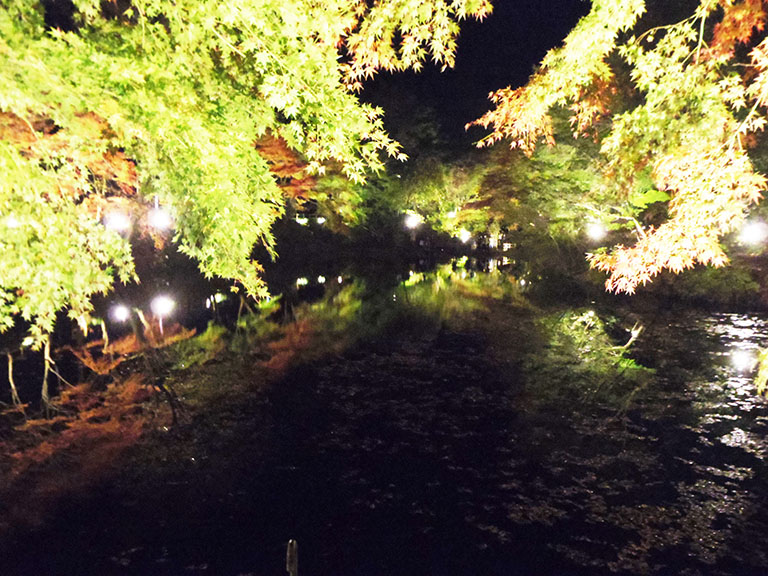 紅葉ライトアップの穴場 岐阜県土岐市の 曽木公園 に行くなら 穴弘法 にも寄ってみて 土岐市の住みやすさを紹介 住む街なび