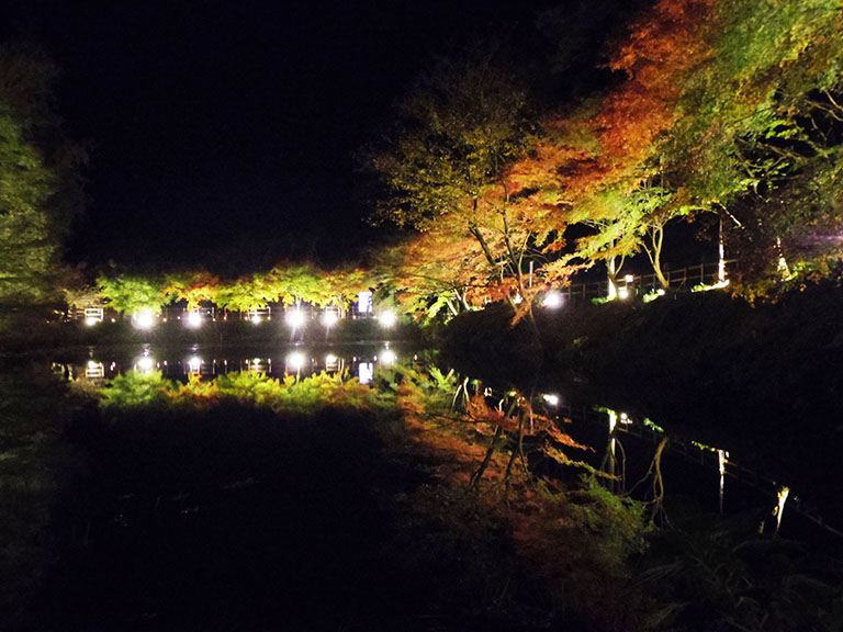紅葉ライトアップの穴場 岐阜県土岐市の 曽木公園 に行くなら 穴弘法 にも寄ってみて 土岐市の住みやすさを紹介 住む街なび