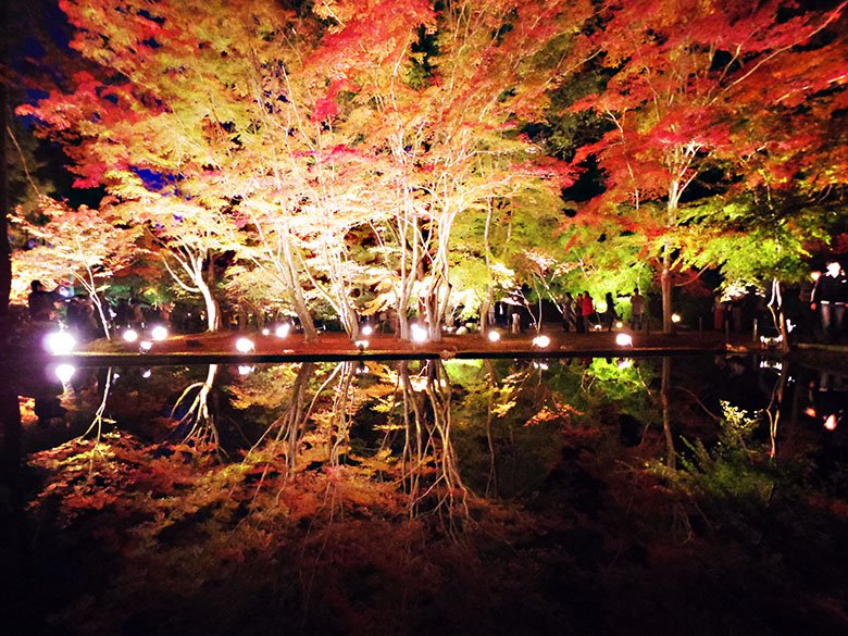 圧巻の逆さもみじ 岐阜県土岐市の 曽木公園 も紅葉ライトアップが見頃 土岐市の住みやすさを紹介 住む街なび