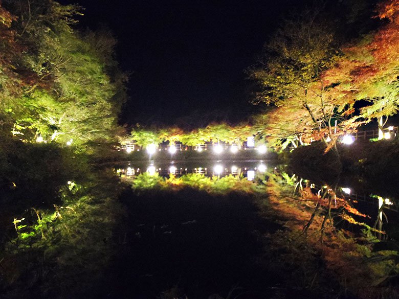 紅葉ライトアップの穴場 岐阜県土岐市の 曽木公園 に行くなら 穴弘法 にも寄ってみて 土岐市の住みやすさを紹介 住む街なび