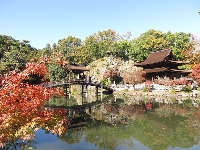 岐阜県多治見市の紅葉の名所 虎渓山永保寺 こけいざんえいほうじ は今が見頃 池に映る紅葉がとっても綺麗 多治見市の住みやすさを紹介 住む街なび