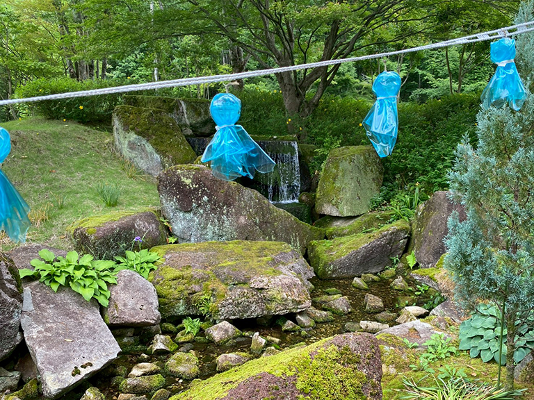 1.ginnomori-honten-25.jpg