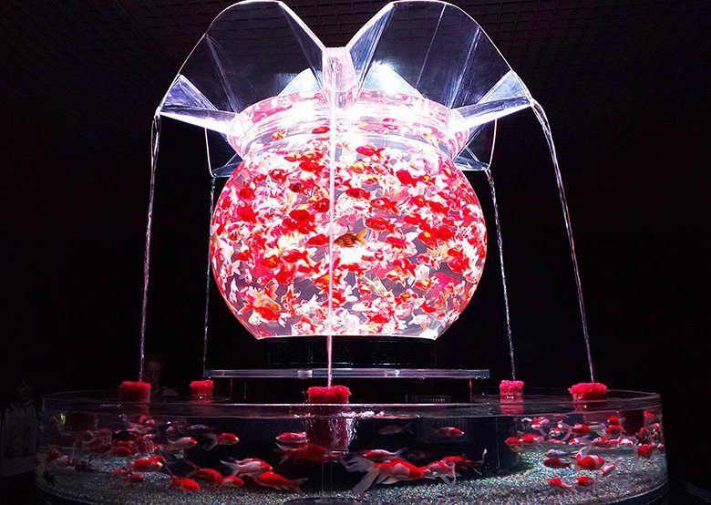 金魚が魅せるエンターテインメント アートアクアリウム展 が松坂屋美術館で開催中 中区の住みやすさを紹介 住む街なび