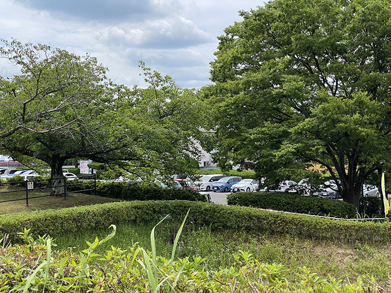 5.minami.park.jpg