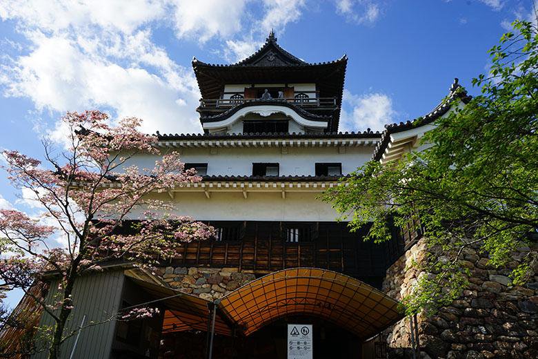 日本人なら一度は行っておきたい 国宝 犬山城 犬山市の住みやすさを紹介 住む街なび