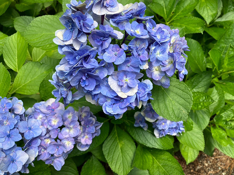 JBKE5794.jpg