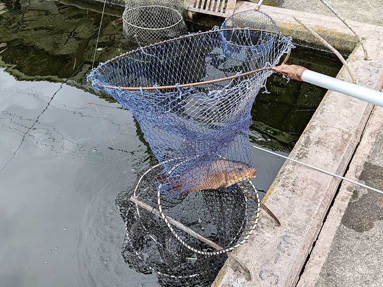 arimatsu-fish-garden-1.jpg