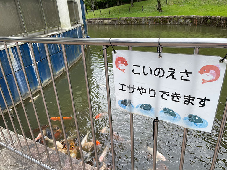 gifu-family-park24.jpg