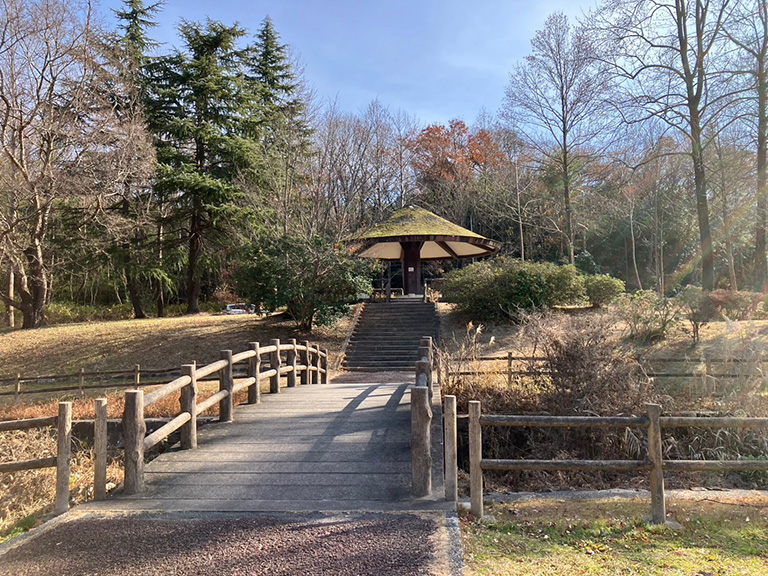 hakuniryu-1.jpg