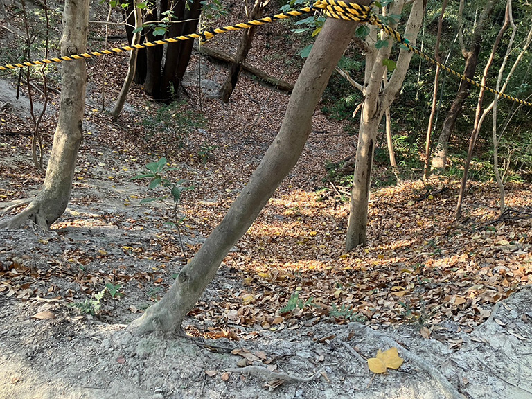 hakuniryu-11.jpg