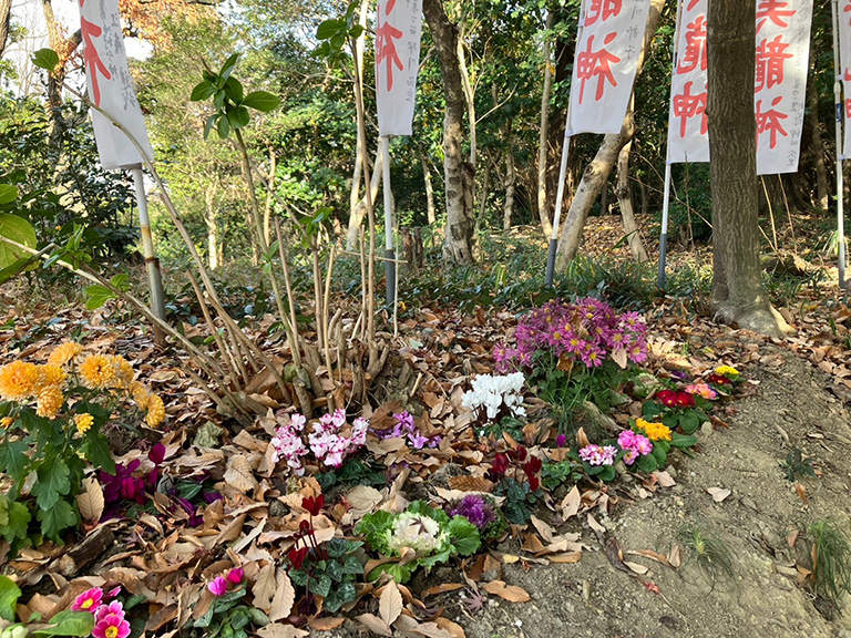hakuniryu-23.jpg