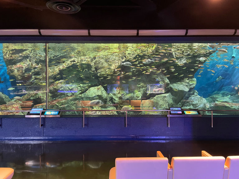 hekinan-seaside-aquarium11.jpg