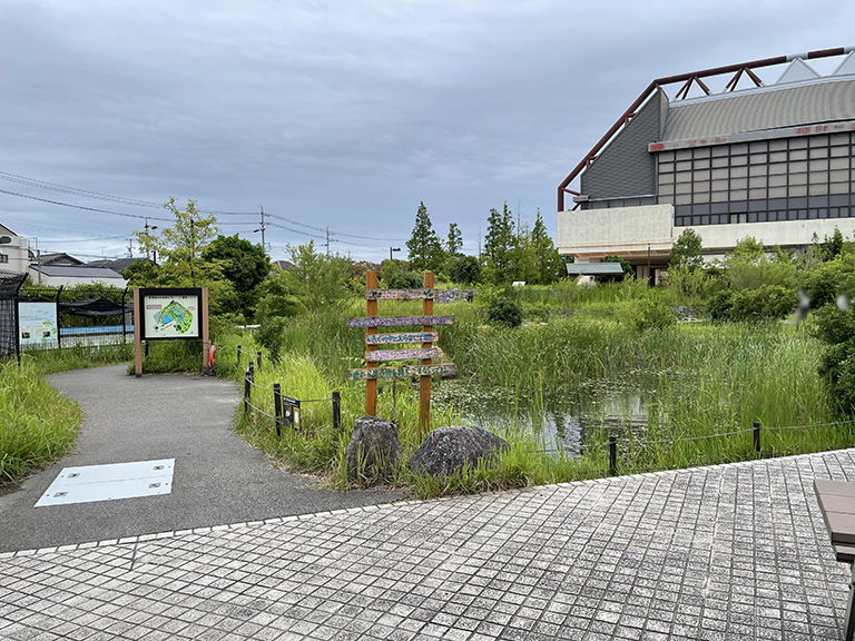 hekinan-seaside-aquarium7.jpg