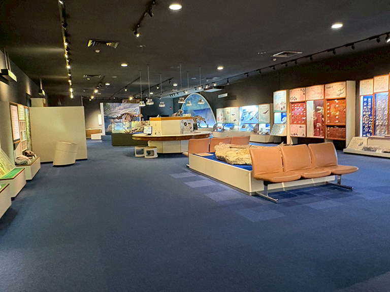 mizunami-kaseki-museum-59.jpg