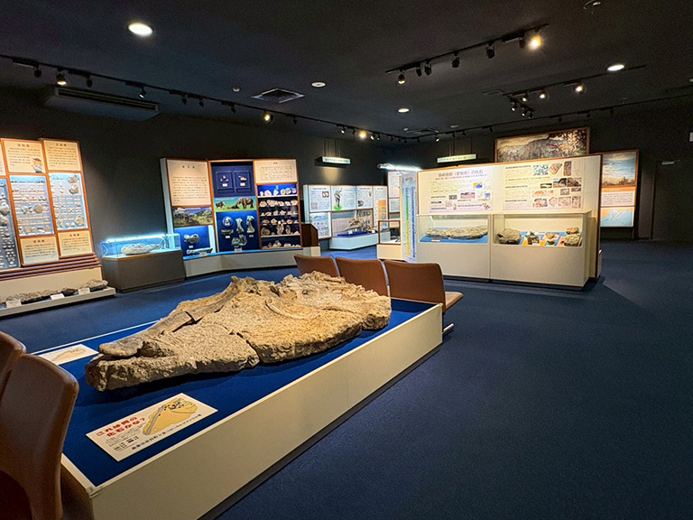 mizunami-kaseki-museum-61.jpg