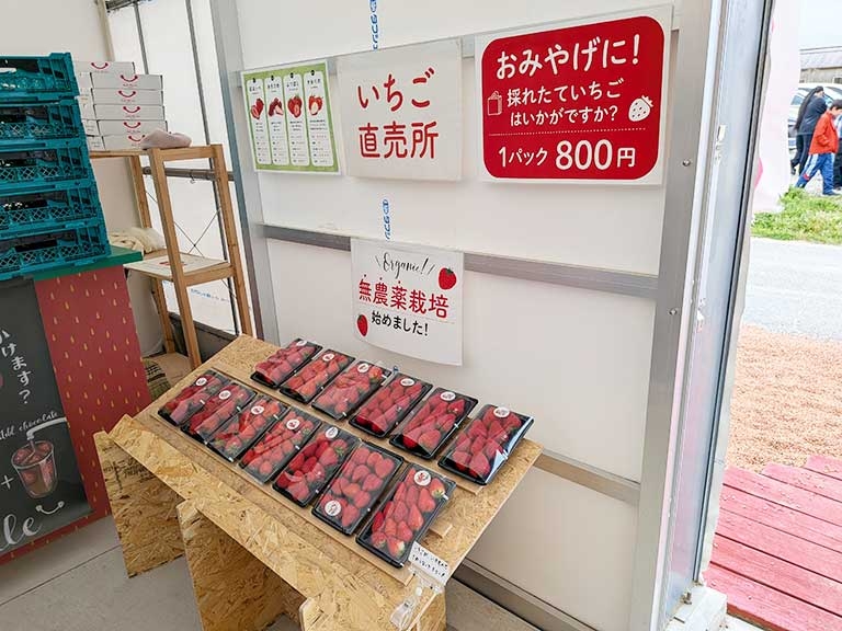nagakute-smileberries-nagakute-2.jpg