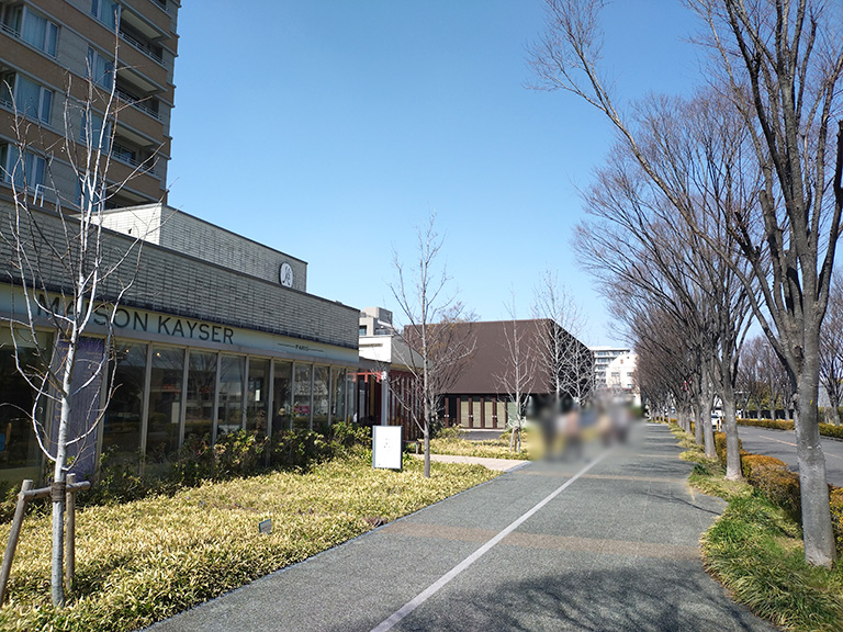 suidomichi-ryokudo-sakura-12.jpg