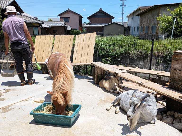 takegawa-fureai-zoo-6.jpg