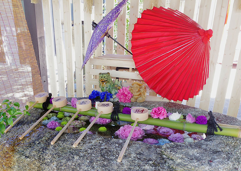 別小江神社 の手水舎にも 傘と紫陽花が鮮やか 限定御朱印情報も 北区の住みやすさを紹介 住む街なび