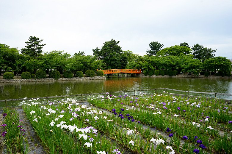 桑名市の「九華公園」はウォーキングやジョギングをするのに最適！