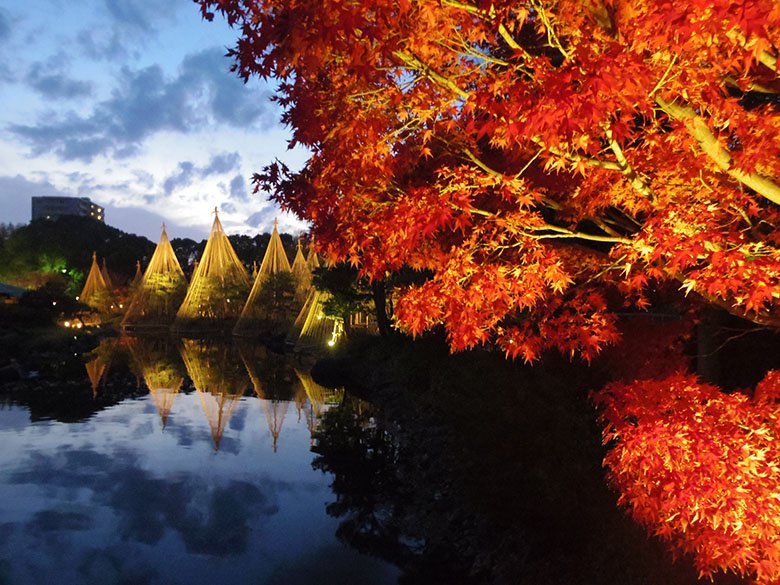 紅葉ライトアップと“あかりアート”は12月9日(日)まで！熱田区「白鳥庭園」の見事な紅葉②　夜編