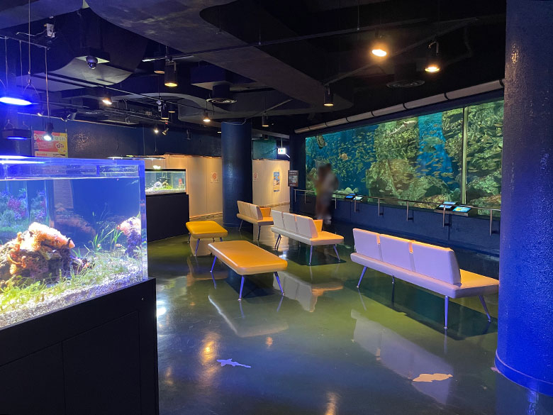 愛知県碧南市「碧南海浜水族館」は小さい子ども連れにぴったり!館内の様子をレポート