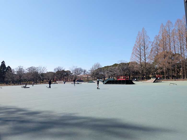 名古屋市西区「庄内緑地スケートパーク」を徹底チェック!遊具やサイクリングも楽しめる人気スポット