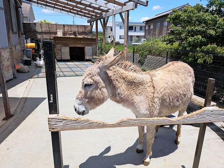 三重県松阪市の「タケガワふれあい動物園」をレポート!無料で楽しめる癒やしのおでかけスポット
