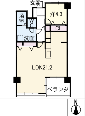 ﾗｲｵﾝｽﾞﾏﾝｼｮﾝ東桜　１１１４号室