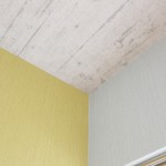 シャビーシック5