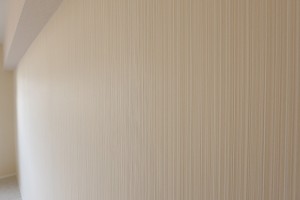 お嬢さま13