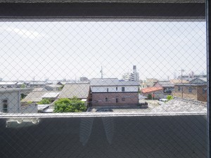 IMGP0101