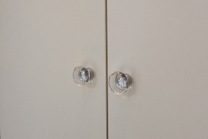 やまとなでしこ10