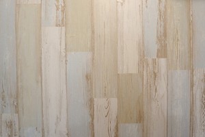 やまとなでしこ14