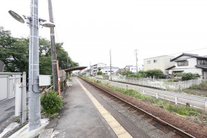 やまとなでしこ3