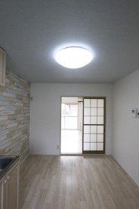 やまとなでしこ12