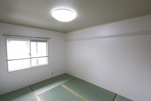 やまとなでしこ5