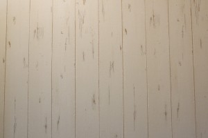 やまとなでしこ19