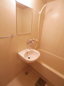 IMGP2351