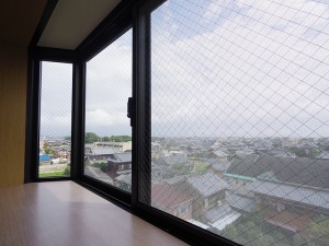 IMGP2636